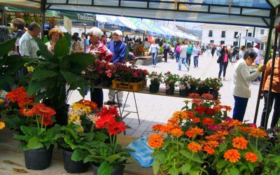 FERIA DE LAS FLORES