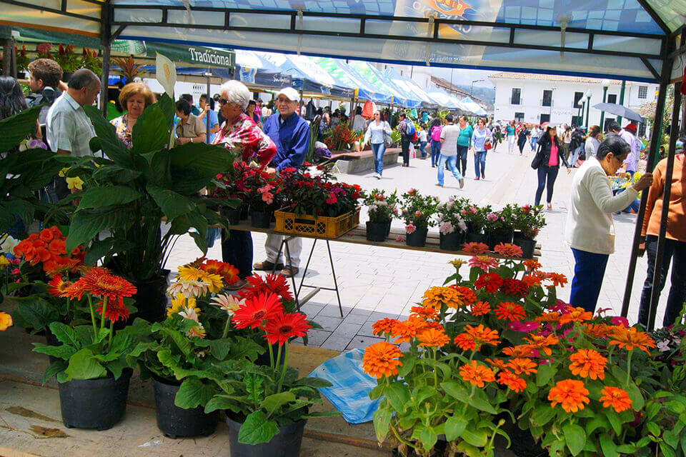 FERIA DE LAS FLORES